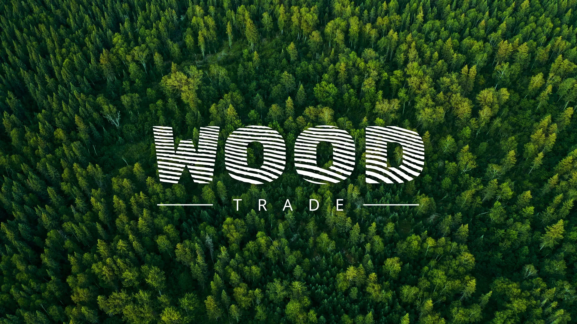 Разработка интернет-магазина компании «Wood Trade» в Кизилюрте